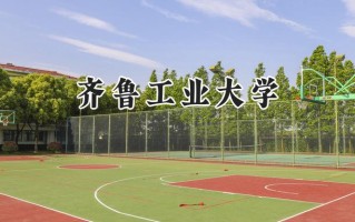 齐鲁工业大学2024在江苏录取分数线是多少？最低528分/最高553分