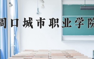 周口城市职业学院一年学费多少钱及各专业的收费标准(2025参考）