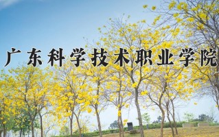 2025年广东科学技术职业学院在河南计划招生人数（附学费及专业录取分)