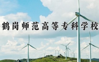 2025年鹤岗师范高等专科学校在四川计划招生人数（附学费及专业录取分)