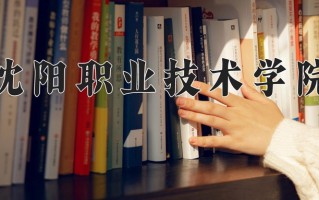 2025年沈阳职业技术学院在新疆计划招生人数（附学费及专业录取分)