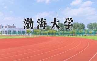 2024年渤海大学招生章程，附办学层次和录取规则
