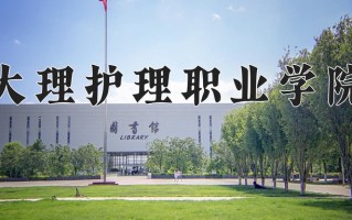 2024年大理护理职业学院招生章程，附办学层次和录取规则