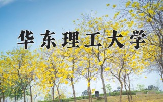 2024年华东理工大学招生章程，附办学层次和录取规则