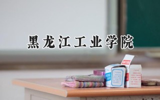 黑龙江工业学院2024在内蒙古录取分数线是多少？最低370分/最高449分
