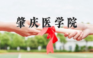 肇庆医学院一年学费多少钱及各专业的收费标准(2025参考）
