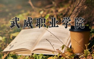 2024年武威职业学院招生章程，附办学层次和录取规则