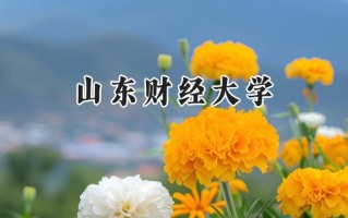山东财经大学2024在青海录取分数线是多少？最低362分/最高501分