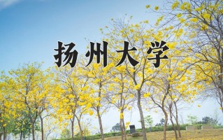 扬州大学全国排名及2024年最低录取分数线