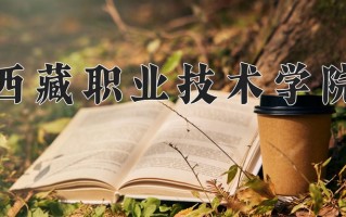 2025年西藏职业技术学院在四川计划招生人数（附学费及专业录取分)