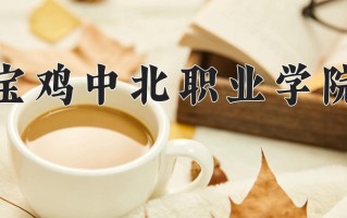 2024年宝鸡中北职业学院招生章程，附办学层次和录取规则