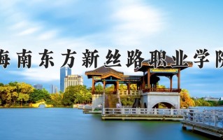辽宁考生多少分能上海南东方新丝路职业学院？2025最低206分