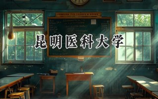 昆明医科大学2024在上海录取分数线是多少？最低471分/最高539分