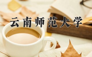 云南师范大学最厉害的专业-2024云南师范大学最好专业