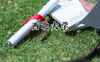 西北大学2024在上海录取分数线是多少？最低523分/最高530分