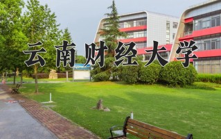 2025年云南财经大学在四川计划招生人数（附学费及专业录取分)