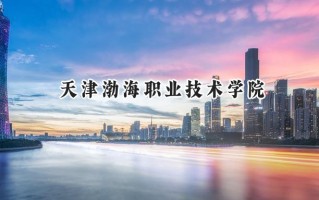 2024天津渤海职业技术学院录取分数线：河南最低350分