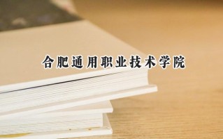 2024合肥通用职业技术学院录取分数线：河南最低315分