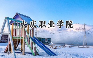 2024大庆职业学院录取分数线：河南最低314分