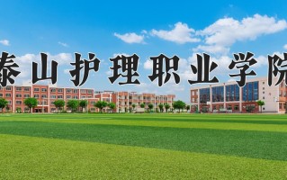 2024年泰山护理职业学院招生章程，附办学层次和录取规则