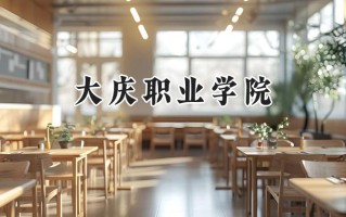 大庆职业学院2024在内蒙古录取分数线是多少？最低238分/最高323分