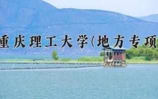 重庆理工大学(地方专项)一年学费多少钱及各专业的收费标准(2025参考）