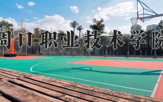 2025年周口职业技术学院在四川计划招生人数（附学费及专业录取分)