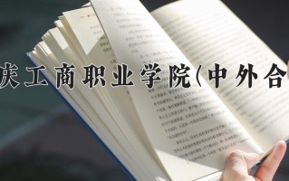 2025年重庆工商职业学院(中外合作)在重庆计划招生人数（附学费及专业录取分)