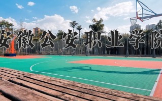 2024年安徽公安职业学院招生章程，附办学层次和录取规则