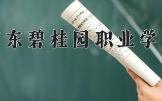 2024年广东碧桂园职业学院招生章程，附办学层次和录取规则