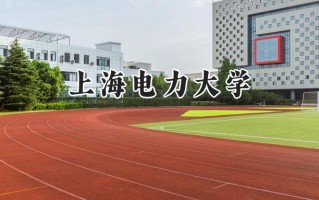 2024上海电力大学录取分数线：陕西最低568分