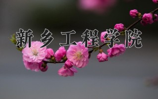 新乡工程学院一年学费多少钱及各专业的收费标准(2025参考）