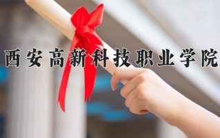 2025年西安高新科技职业学院在河南计划招生人数（附学费及专业录取分)