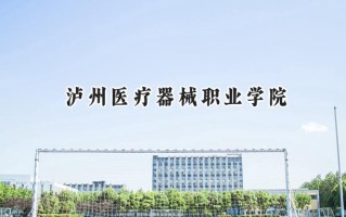 泸州医疗器械职业学院2024在青海录取分数线是多少？最低253分/最高297分