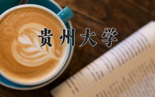 2024贵州大学录取分数线，重庆录取最低分557