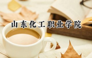 2024山东化工职业学院录取分数线：山西最低268分