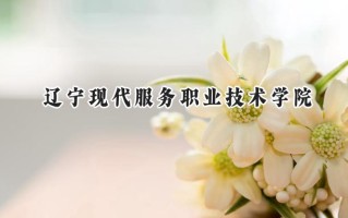 辽宁现代服务职业技术学院2024在青海录取分数线是多少？最低232分/最高274分
