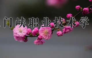 三门峡职业技术学院一年学费多少钱及各专业的收费标准(2025参考）