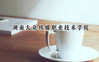 湖南大众传媒职业技术学院2024在浙江录取分数线是多少？最低477分/最高541分