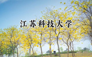 江苏科技大学2024在江苏录取分数线是多少？最低501分/最高576分