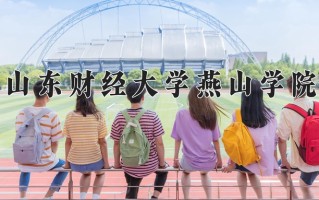 山东财经大学燕山学院王牌专业排名-含2024年全国各省录取最低分数线