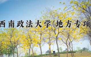 西南政法大学(地方专项)一年学费多少钱及各专业的收费标准(2025参考）