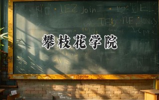 2024攀枝花学院录取分数线：山西最低455分