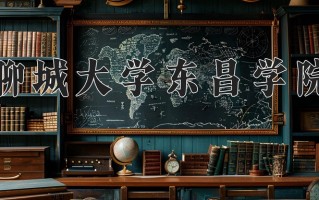 2025年聊城大学东昌学院在新疆计划招生人数（附学费及专业录取分)