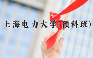 2025年上海电力大学(预科班)在重庆计划招生人数（附学费及专业录取分)