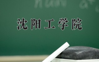 2024沈阳工学院录取分数线：浙江最低447分