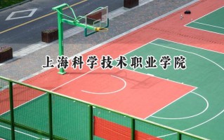 上海科学技术职业学院2024在山东录取分数线是多少？最低433分/最高510分