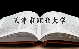 2024天津市职业大学录取分数线：宁夏最低383分