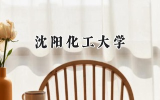 沈阳化工大学2024在上海录取分数线是多少？最低427分/最高430分