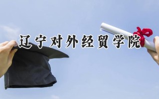 辽宁对外经贸学院2024在上海录取分数线是多少？最低391分/最高395分
